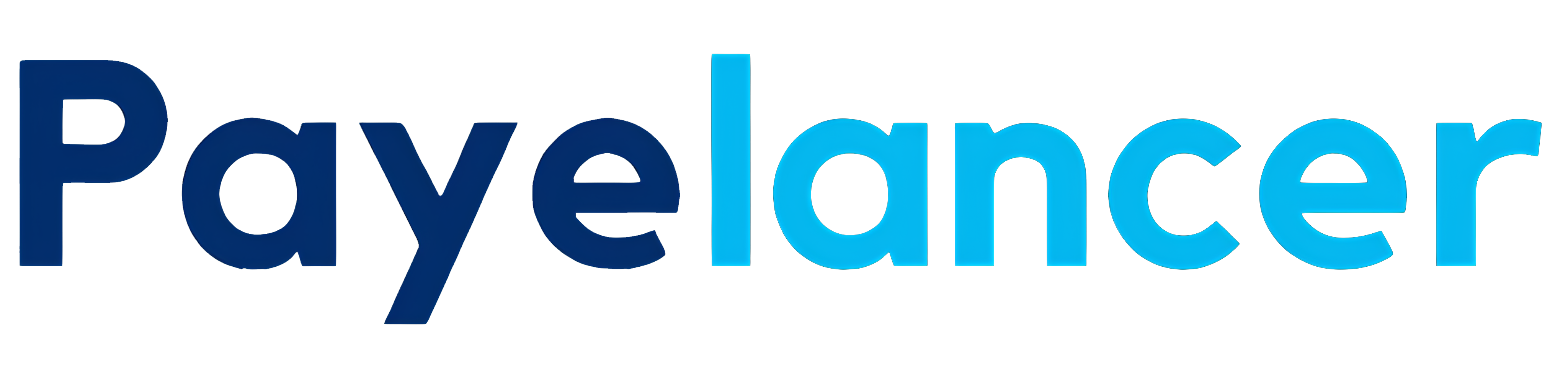 Payment Partner